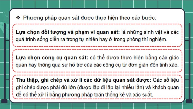 PowerPoint Sinh học 10 Kết nối tri thức Bài 2
