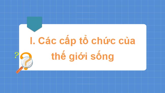 PowerPoint Sinh học 10 Kết nối tri thức Bài 3