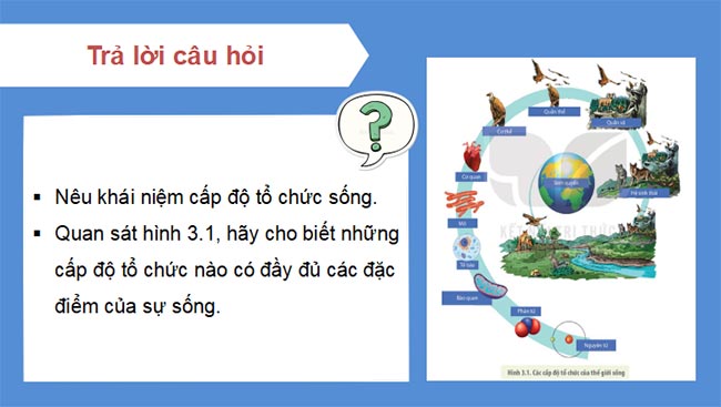 PowerPoint Sinh học 10 Kết nối tri thức Bài 3