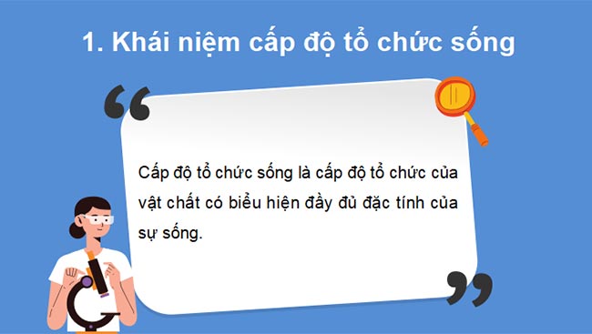 PowerPoint Sinh học 10 Kết nối tri thức Bài 3