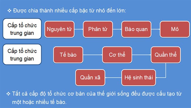 PowerPoint Sinh học 10 Kết nối tri thức Bài 3