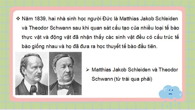 PowerPoint Sinh học 10 Kết nối tri thức Bài 4