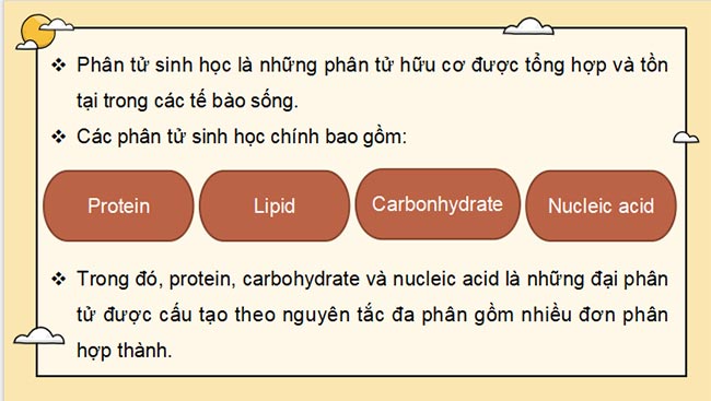 PowerPoint Sinh học 10 Kết nối tri thức Bài 5