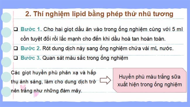 PowerPoint Sinh học 10 Kết nối tri thức Bài 6