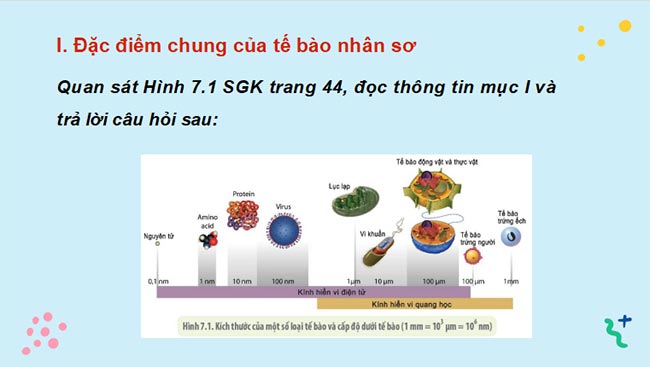PowerPoint Sinh học 10 Kết nối tri thức Bài 7