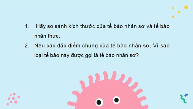 PowerPoint Sinh học 10 Kết nối tri thức Bài 7