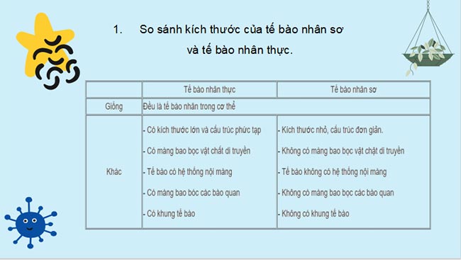 PowerPoint Sinh học 10 Kết nối tri thức Bài 7