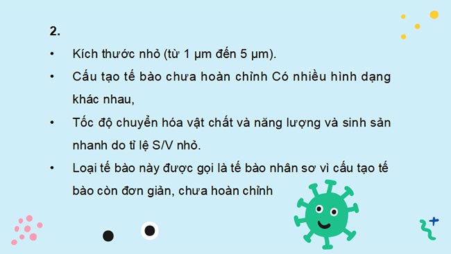 PowerPoint Sinh học 10 Kết nối tri thức Bài 7