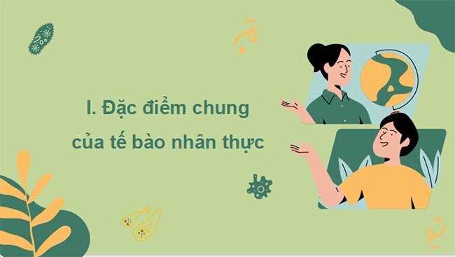 PowerPoint Sinh học 10 Kết nối tri thức Bài 8