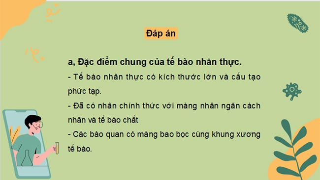 PowerPoint Sinh học 10 Kết nối tri thức Bài 8