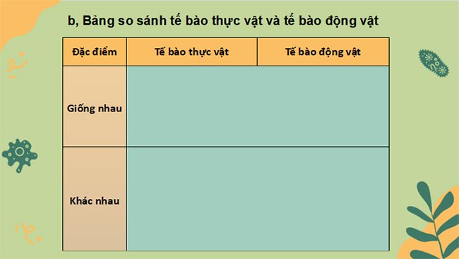 PowerPoint Sinh học 10 Kết nối tri thức Bài 8