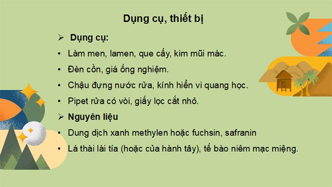 PowerPoint Sinh học 10 Kết nối tri thức Bài 9