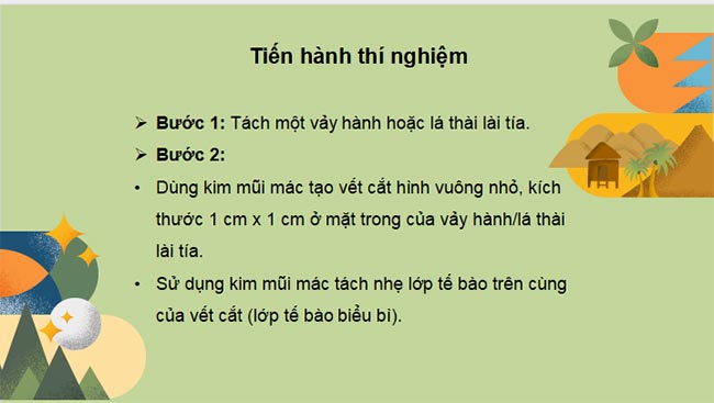 PowerPoint Sinh học 10 Kết nối tri thức Bài 9