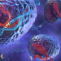 PowerPoint Sinh học 10 Bài 10: Trao đổi chất qua màng tế bào  