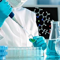 PowerPoint Sinh học 10 Bài 5: Các phân tử sinh học  