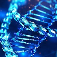 PowerPoint Sinh học 10 Bài 7: Tế bào nhân sơ  