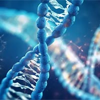 PowerPoint Sinh học 10 Bài 8: Tế bào nhân thực  