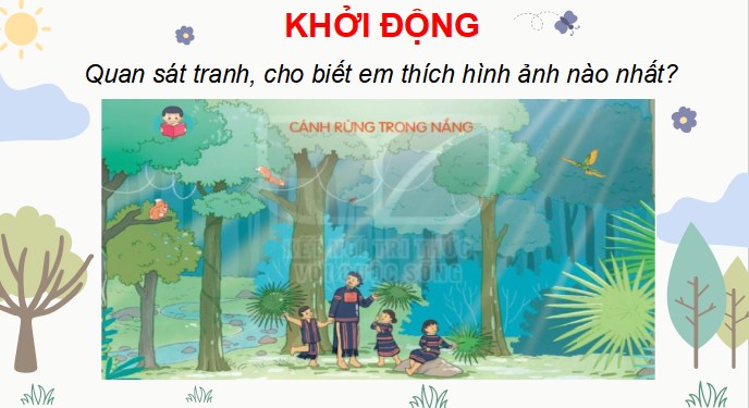 PPT Đọc: Cánh rừng trong nắng