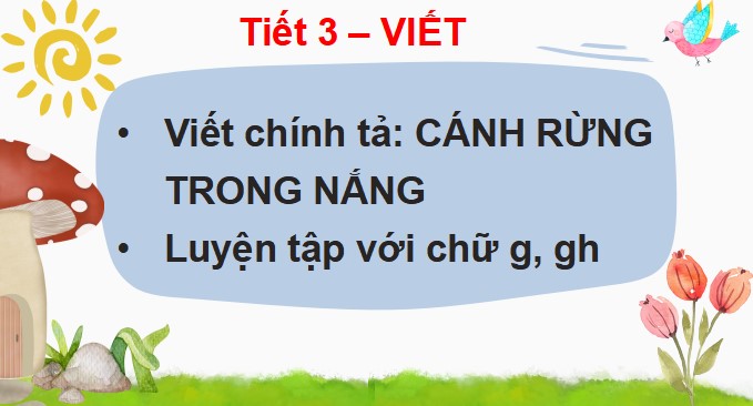 PowerPoint Viết: Cánh rừng trong nắng
