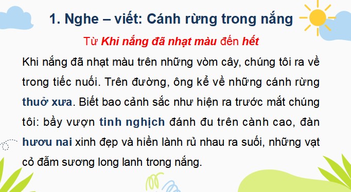 PowerPoint Viết: Cánh rừng trong nắng
