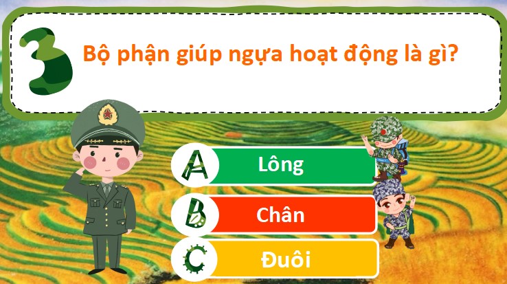 powerpoint tu nhien va xa hoi 3 ket noi tri thuc hoc ki 2 5*469722