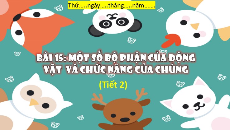 powerpoint tu nhien va xa hoi 3 ket noi tri thuc hoc ki 2 6*469719