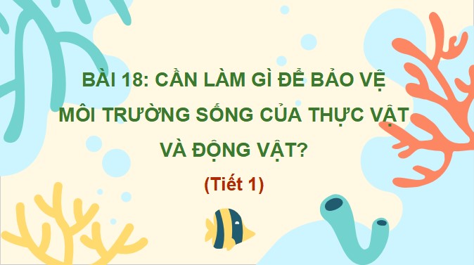 powerpoint tu nhien va xa hoi lop 2 sach ket noi tri thuc hoc ki 2 2*469830
