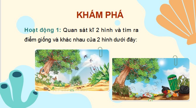 powerpoint tu nhien va xa hoi lop 2 sach ket noi tri thuc hoc ki 2 4*469832