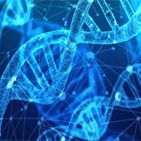 Đề cương ôn tập giữa học kì 1 Sinh học 10 Cánh diều