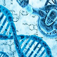 Đề cương ôn tập giữa học kì 1 Sinh học 10 Chân trời sáng tạo