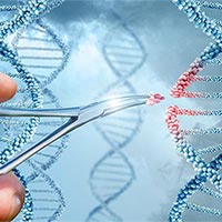 Đề cương ôn tập giữa học kì 1 Sinh học 10 Kết nối tri thức