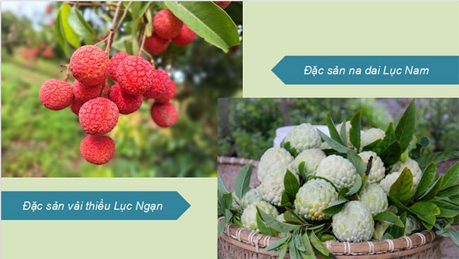 Giáo án PowerPoint Địa lí 8 Kết nối tri thức Bài 7