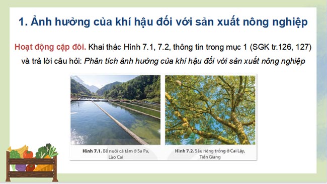 Giáo án PowerPoint Địa lí 8 Kết nối tri thức Bài 7