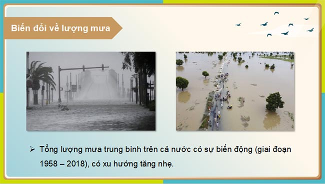 Giáo án PowerPoint Địa lí 8 Kết nối tri thức Bài 8