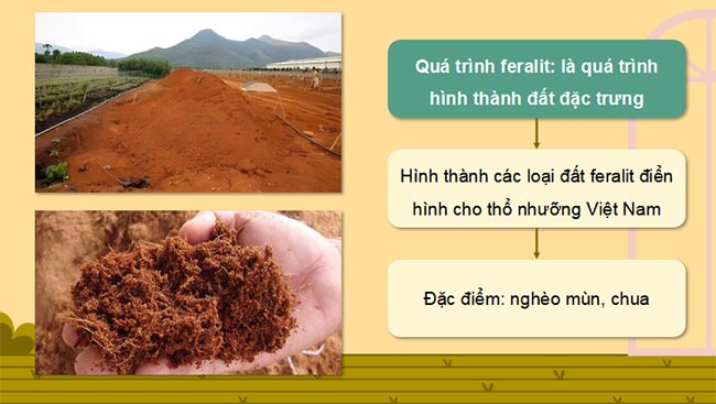 Giáo án PowerPoint Địa lí 8 Kết nối tri thức Bài 9