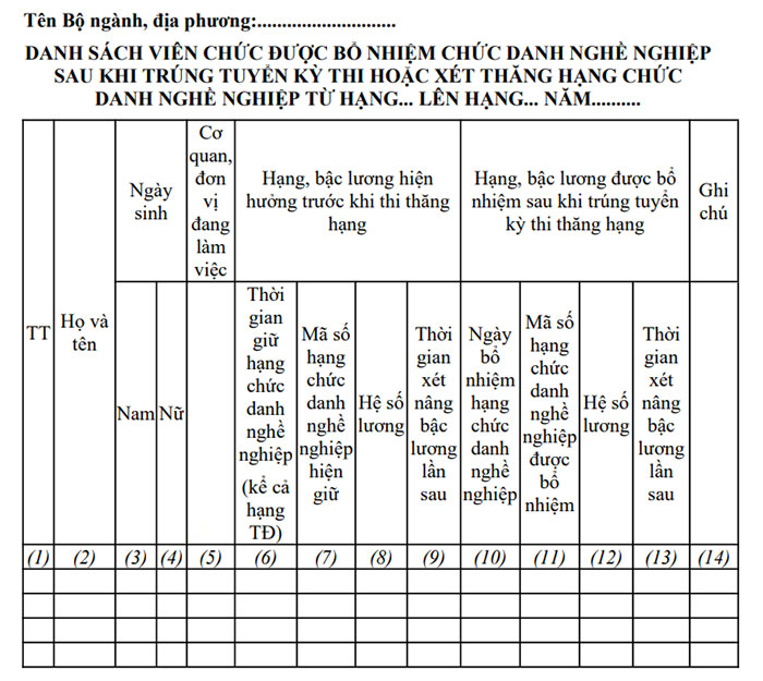 Mẫu danh sách viên chức được bổ nhiệm chức danh nghề nghiệp khi trúng tuyển kỳ thi