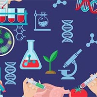 Đề thi giữa học kì 1 Sinh học 11 Cánh diều