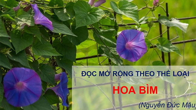 PowerPoint Ngữ văn 6 Bài 3: Hoa bìm