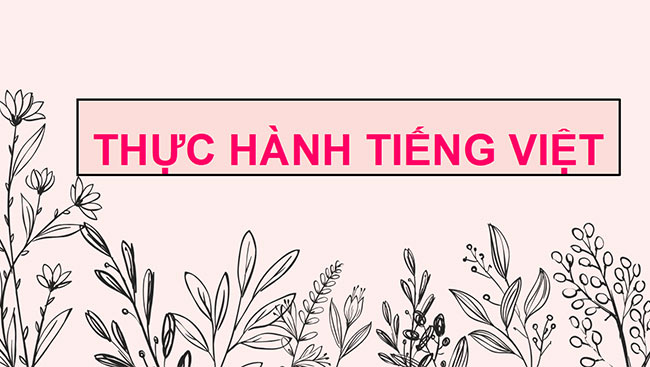 PowerPoint Ngữ văn 6 Bài 3: Thực hành tiếng Việt