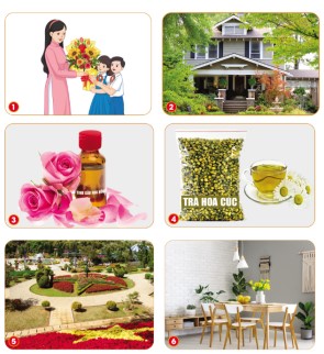 Giáo án Công nghệ 4 Cánh Diều