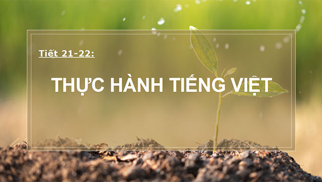 PowerPoint Ngữ văn 6 Bài 2: Thực hành tiếng Việt