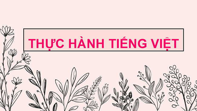PowerPoint Ngữ văn 6 Bài 3: Thực hành tiếng Việt