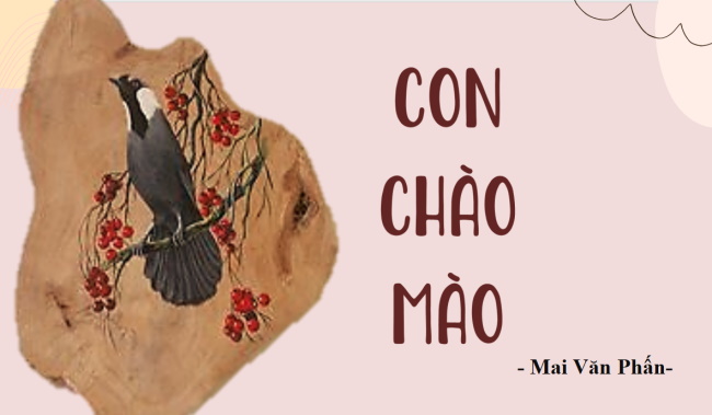 PowerPoint Ngữ văn 6 Bài 3: Con chào mào