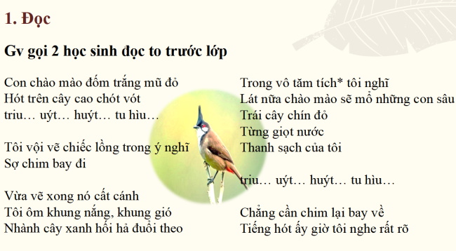 PowerPoint Ngữ văn 6 Bài 3: Con chào mào