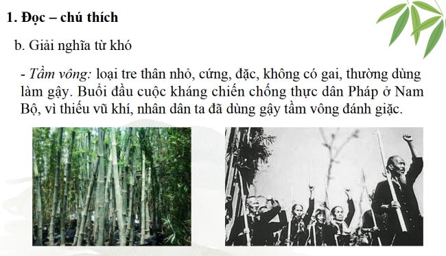 PowerPoint Ngữ văn 6 Bài 4: Cây tre Việt Nam