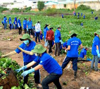 Giáo án Sinh hoạt dưới cờ lớp 3 Cuộc sống xanh tuần 29