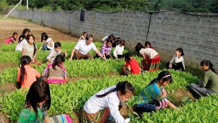 Giáo án Sinh hoạt dưới cờ lớp 3 Những người sống quanh em và nghề em yêu thích tuần 32