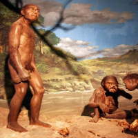 PowerPoint Lịch sử 6 Bài 3: Nguồn gốc loài người