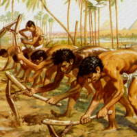 PowerPoint Lịch sử 6 Bài 4: Xã hội nguyên thủy