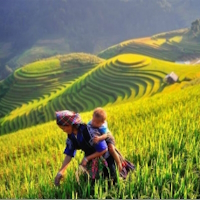 PowerPoint Tiếng Việt 4 Bài 2 đọc 2: Lên rẫy